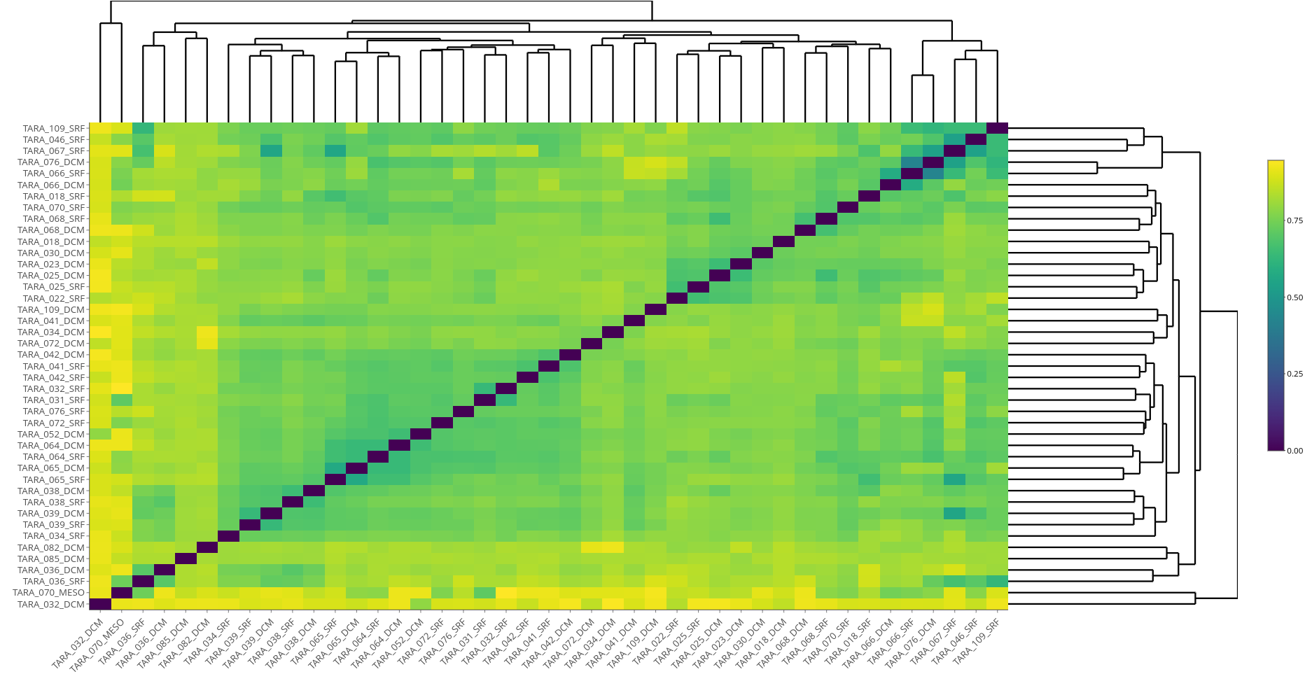 Heatmap of clustered samples, Tara Oceans virome